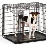 MidWest Heavy Duty Dog Crate Foldable Steel Medium Breed-0
