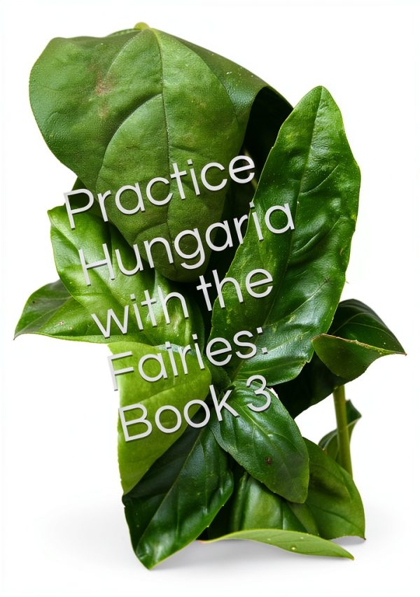 Hungarian Language Instruction Kindle Book English Learning-0