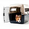 Petmate Dog Travel Kennel Airline Approved Medium Crate-2