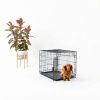 Amazon Dog Crate Durable Metal Wire Secure Pet Containment-4